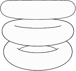  torus.4 