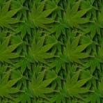 [pattern2]